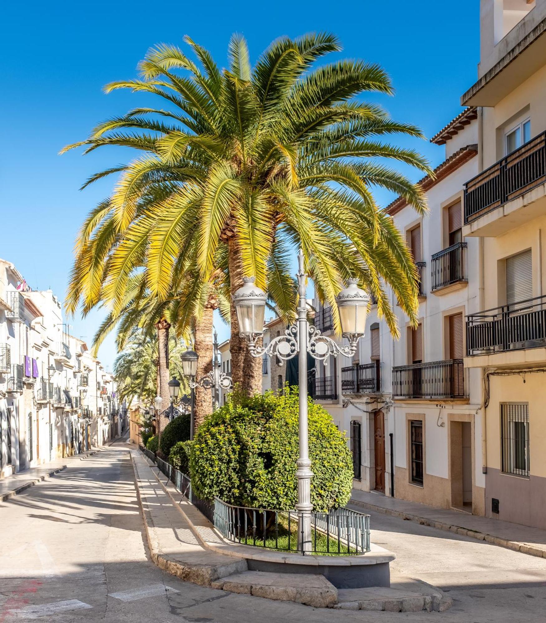 Finca De La Pansa ベニッサ エクステリア 写真